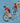 Father's Day - Cycling