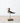 Wooden Bird On base, 19cm