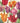 Emma Bridgewater - Tulips