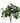 Single 70cm Artificial Zebra Foliage