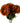 Single Artificial Flowers Extra Large Reflex Chrysanthemum - Orange 75cm