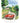 Brother Birthday Card - Red Car