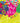 NEON BALLOONS