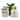 Candle & Bath Fizzers Gift Box - White Fig, Fell Berry