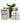 Candle & Bath Fizzers Gift Box - White Fig, Fell Berry