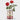 June Birth Flower - Personalised Grow Your Own Flower Gift