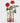 June Birth Flower - Personalised Grow Your Own Flower Gift