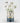 May Birth Flower - Personalised Grow Your Own Flower Gift