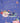 Open Birthday - Female 029