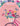 Open Birthday - Female 053
