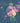 Beaux Chic - Vase Of Flowers