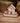 DOUGAL HIGHLAND COW HOUSE BLOCK NATURAL WOOD WITH LOGS & QUOTE
