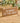 BEWARE OF THE WIFE HUMOUR WOOD RUSTIC PLAQUE