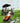 Father's Day Card - Dad Golfing