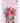 SISTER IN LAW BIRTHDAY - BORDER