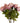 Single 70cm Artificial Light Pink Rose