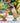 Floral Hat and Boots Ducklings - Green