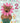 2nd Birthday Niece