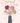 Get well carnations
