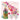 A03-BEAUX CHIC-CHAMPAGNE FLORAL