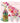 A03-BEAUX CHIC-CHAMPAGNE FLORAL