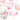 A16-BEAUX CHIC-FLOWERS & BALLOONS 53081