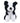 Black and white fluffy border collie