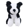 Black and white fluffy border collie