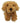 Wilberry Minis: Cockapoo