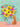 PKT 17-CAT & FLOWERS