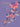 PKT 24-BUTTERFLY BIRTHDAY WISHES