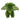 Wilberry Mini Teddy Dragon