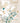 Floral design with text on a beige background