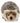 Wilberry Minis: Hedgehog