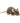 Wilberry Minis: Rat (Brown)