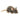 Wilberry Minis: Rat (Brown)