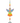 Crystal Dreams Celestial Angel Rainbow