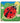 Lifecycle layer puzzle - Ladybug