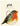 MULTIPACK TAG (6) HOLLY HARMONY ROBIN