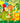 Age 1 Boys Jungle