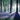 PKT Q04-BLUEBELL WOODS 38959