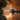 Autumnal Peace - Blank Card