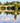 PKT Q22-FLY FISHING ON THE RIVER TWEED