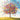 Butterfly Tree - Blank Card