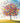 Butterfly Tree - Blank Card