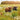 PKT R01-WILD MEADOW COWS