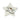 Best Friend Star Slim Token