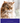 UNEXCITED TABBY CAT