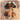 Q23 - Cool Sausage Dog