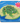 Lifecycle Layer Puzzle - Frog